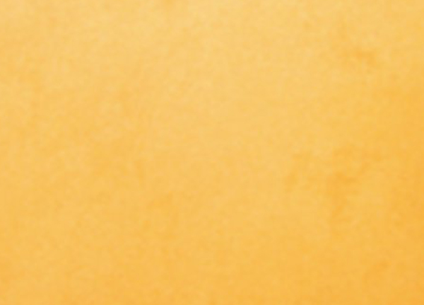 PLG R4689